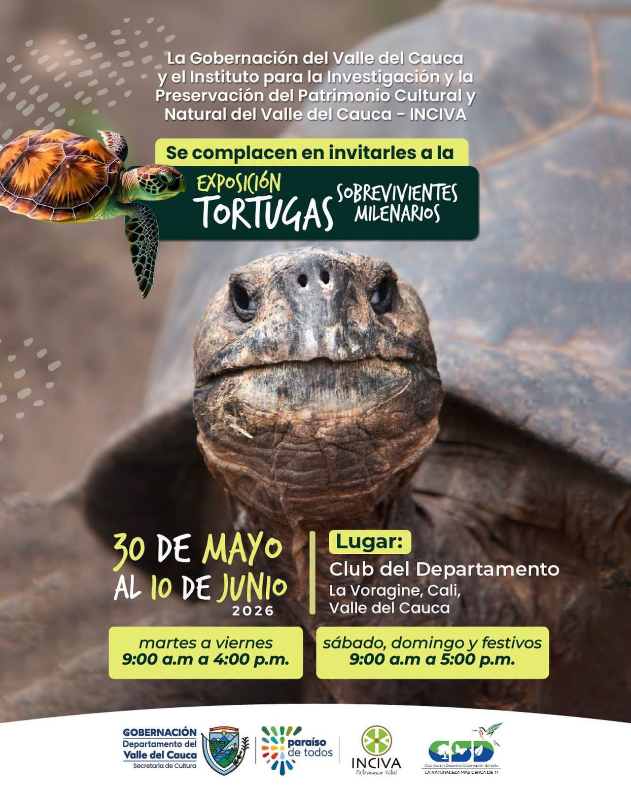 noticias-y-eventos---v2/exposicion-de-tortugas-en-el-club-del-departamento
